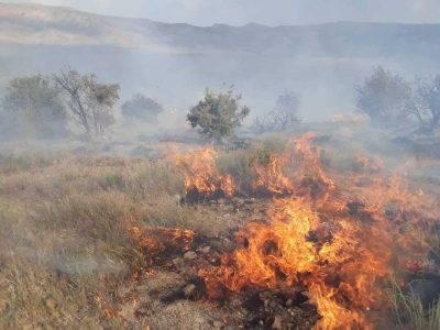 امسال ۹ مورد آتش سوزی مراتع در زنجان ثبت شد