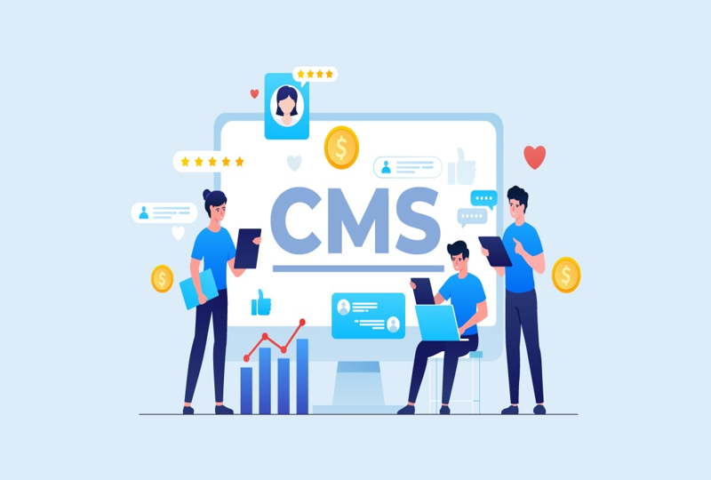 CMS برای وبسایت های بزرگ و سازمانی_ چگونه این ابزارها می توانند به شما کمک کنند؟