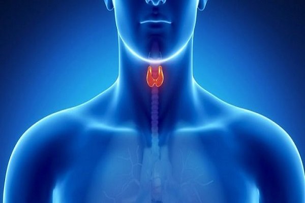 زنان بیش از مردان به سرطان تیروئید مبتلا می‌شوند - خبرگزاری مهر | اخبار ایران و جهان