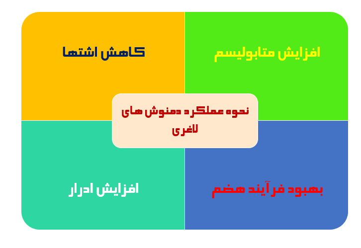 آیا محصولات نیوشا واقعا لاغر می کنند؟