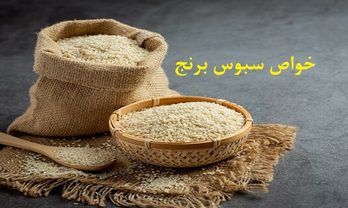 سبوس برنج - منبع غنی از ویتامین ها و مواد معدنی ضروری برای بدن
