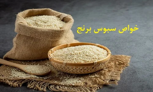 رژیم غذایی سبوس برنج - منبع غنی از ویتامین ها و مواد معدنی ضروری برای بدن