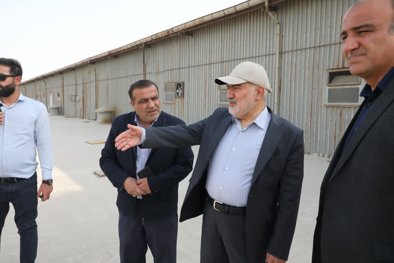 استاندار خوزستان از روند خرید گندم بازدید کرد/پیش‌بینی برداشت ۱.۵ میلیون تن گندم در استان