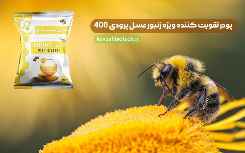 تغذیه زنبور عسل
