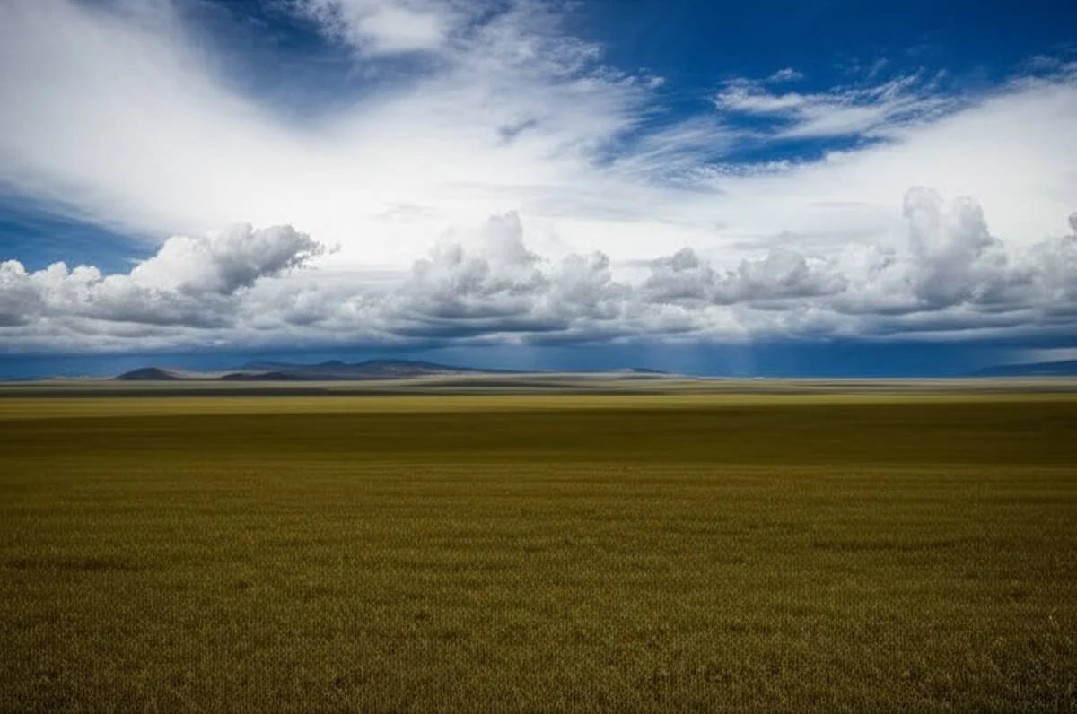 دسترسی به دشت میرزابایلو